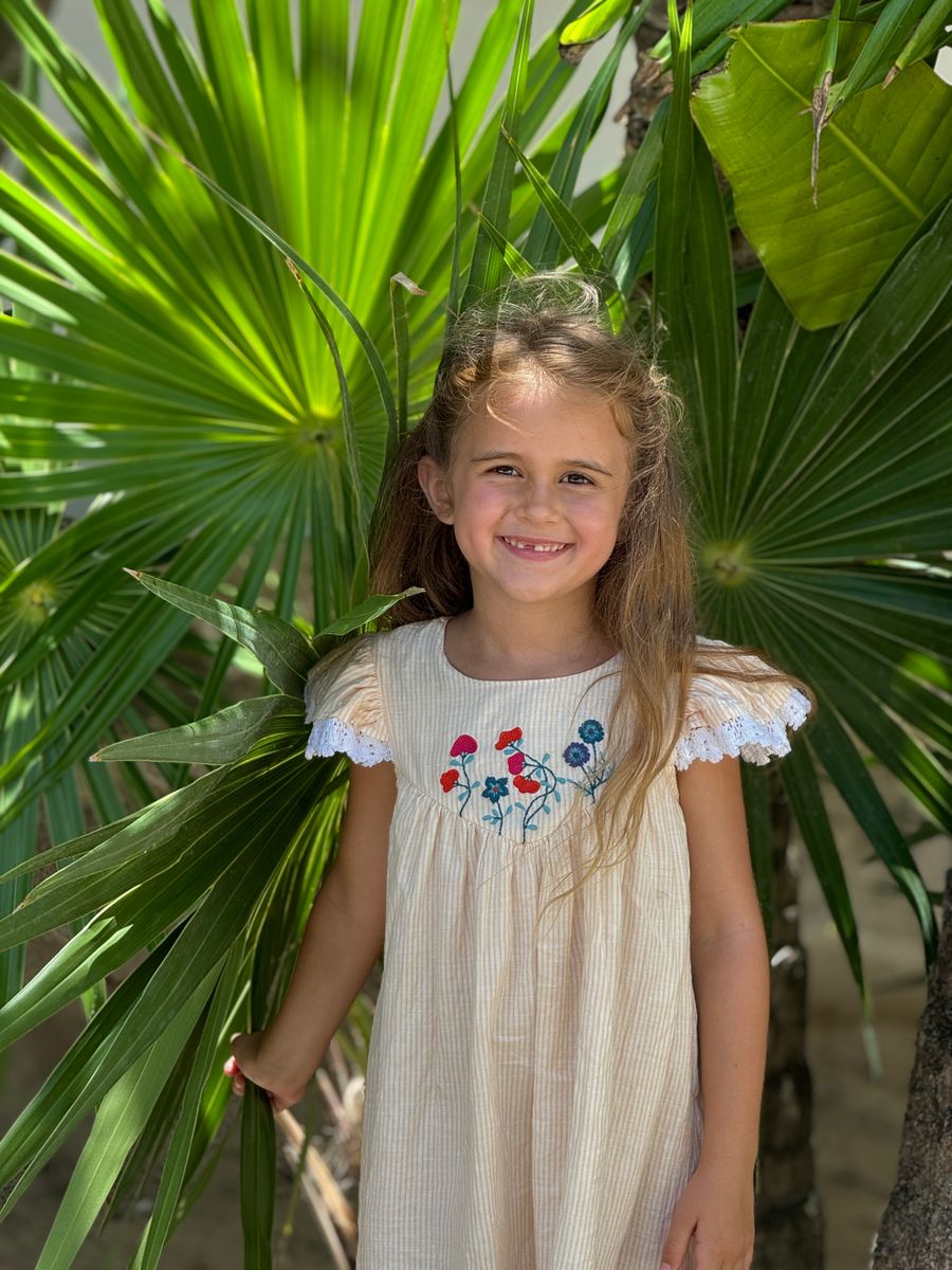 Flutter Sleeve Dress with Embroidery // Chichen Itza