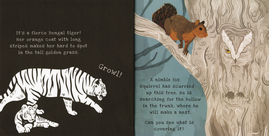 Shine-A-Light: Secrets of Animal Camouflage