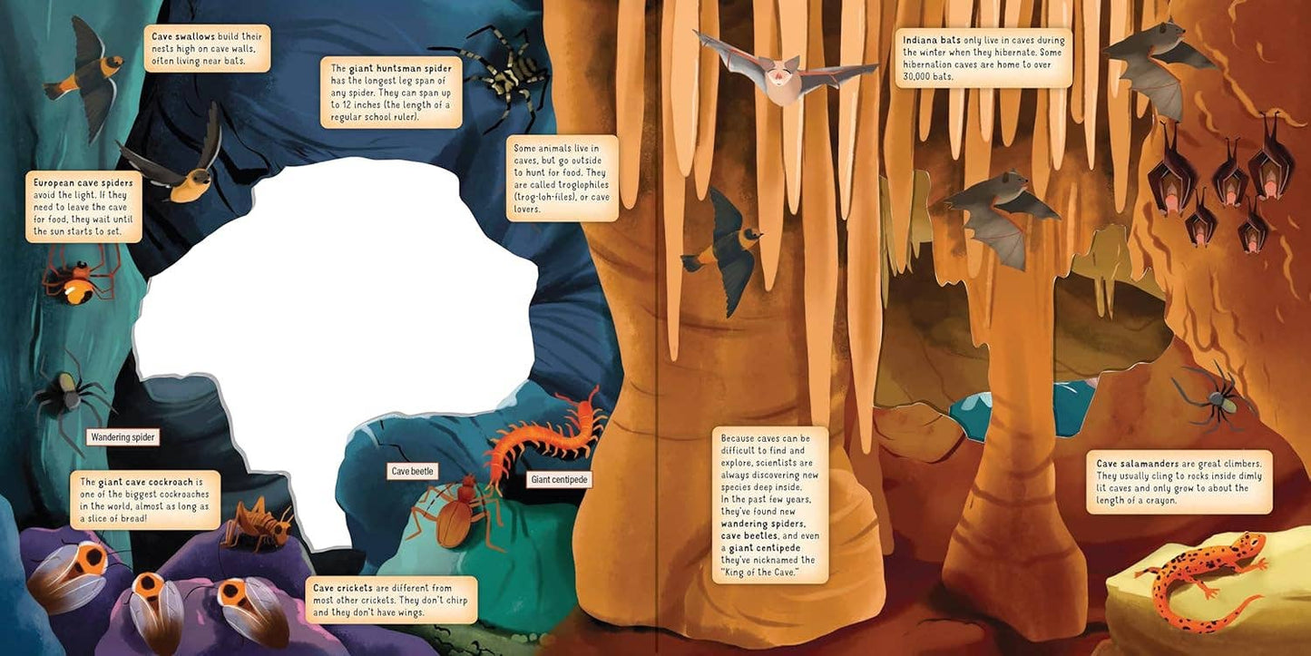 Discovering the Hidden World Inside a Cave