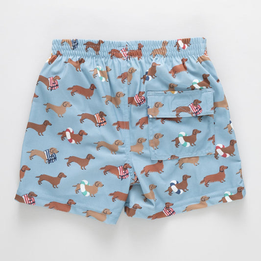 Dachshunds Boys Swim Trunks
