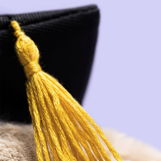 Bashful Bunny Graduation