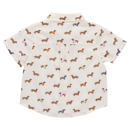 Dachshunds in Sweaters Button Down Shirt