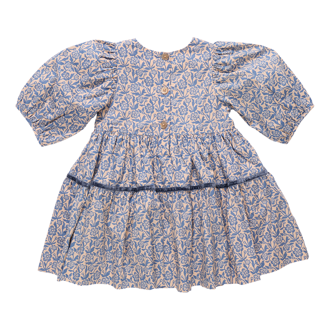Girls Maribelle Dress // Blue Climbing Floral