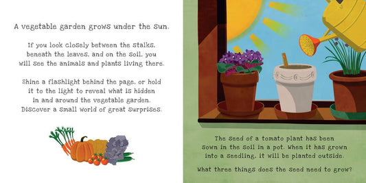 Shine-A-Light: Secrets of the Vegetable Garden