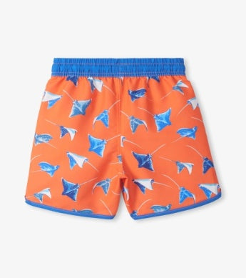 Sting Ray Rashguard & Swim Trunks