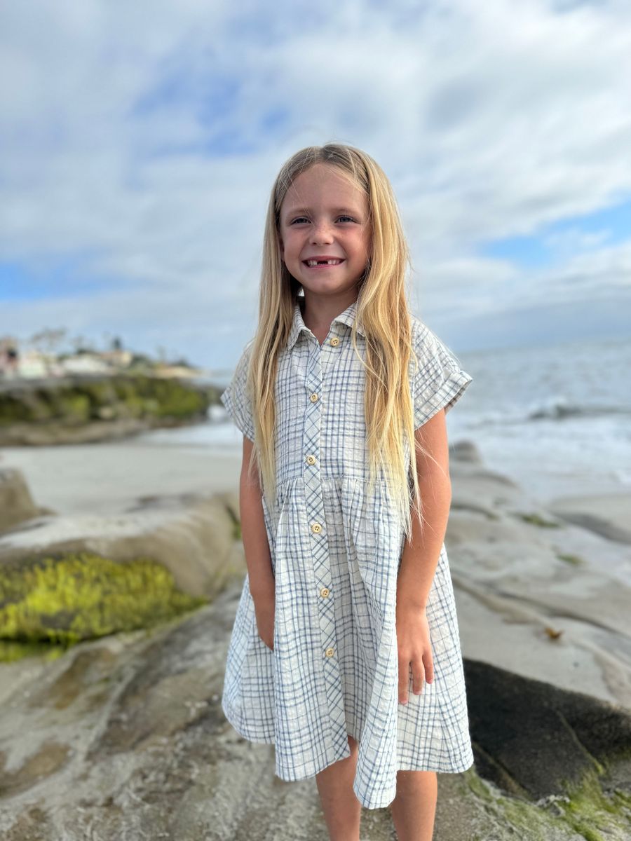 Heather Plaid Dress // Blue Seersucker