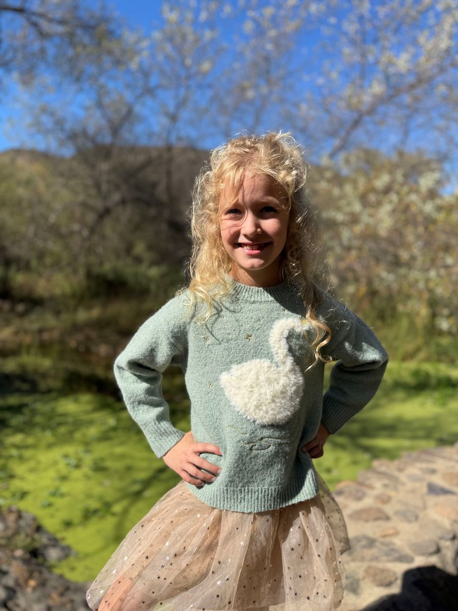 Nova Graphic Sweater // Sage With a Swan