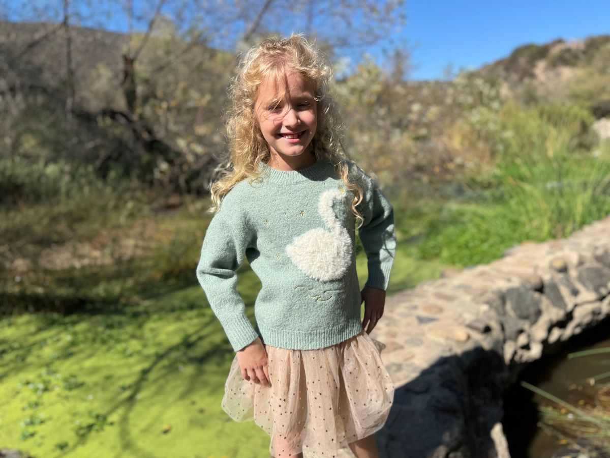 Nova Graphic Sweater // Sage With a Swan