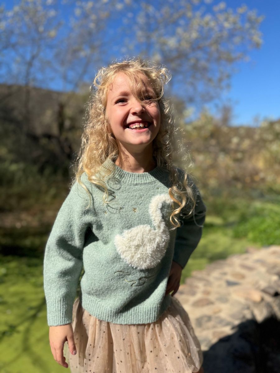 Nova Graphic Sweater // Sage With a Swan