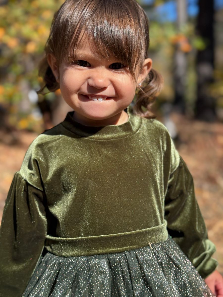 Birdie Dress // Green Velvet