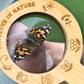Kids Magnifying Glass – Eco Bamboo 5x Nature Tool