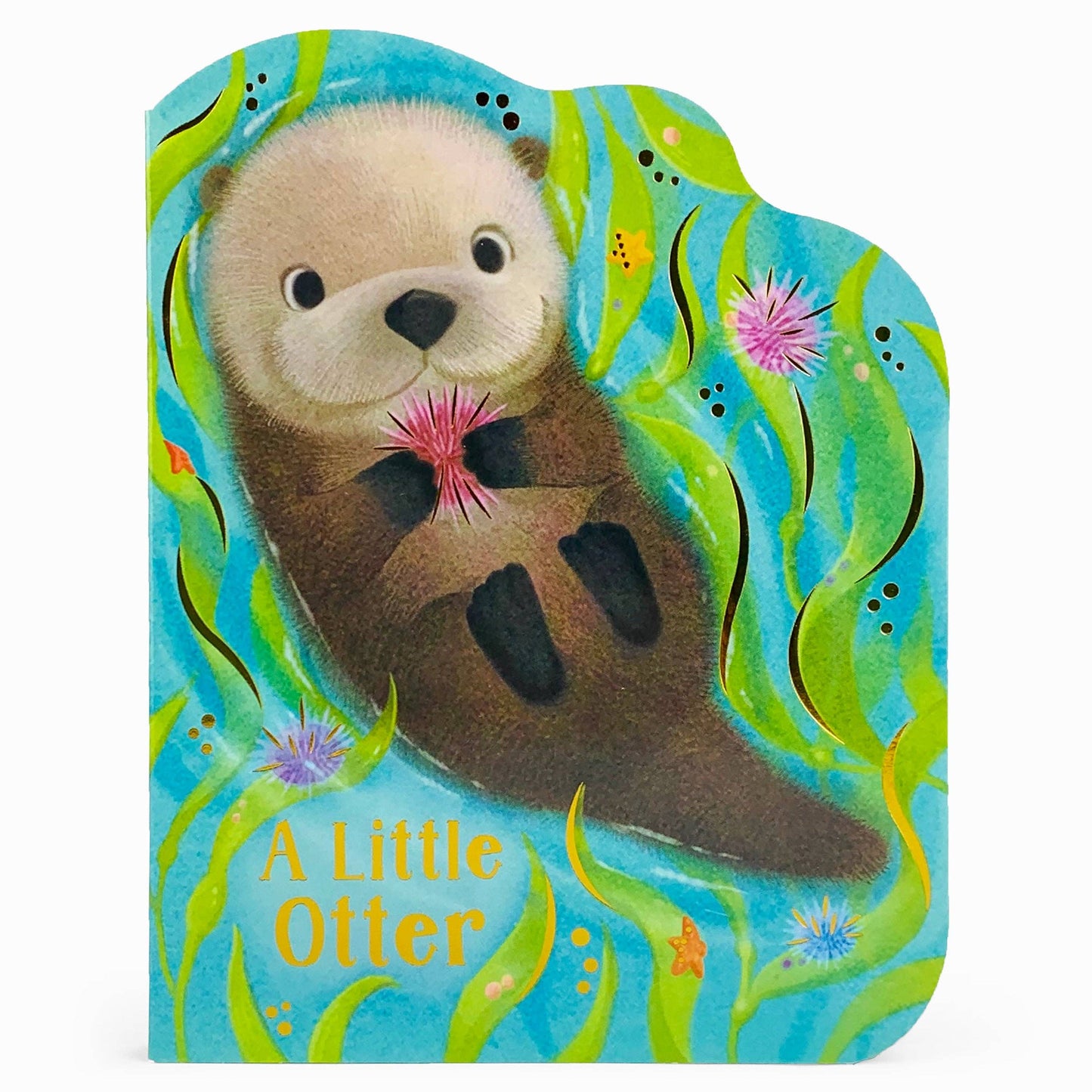 Children's book cover featuring an otter holding a flower with underwater illustrations.