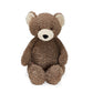 Great Big Cubby Bear