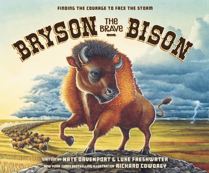 Bryson The Brave Bison