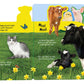 Discovery Kids: Baby Farm Animals! by Editors of Silver Dolphin Books