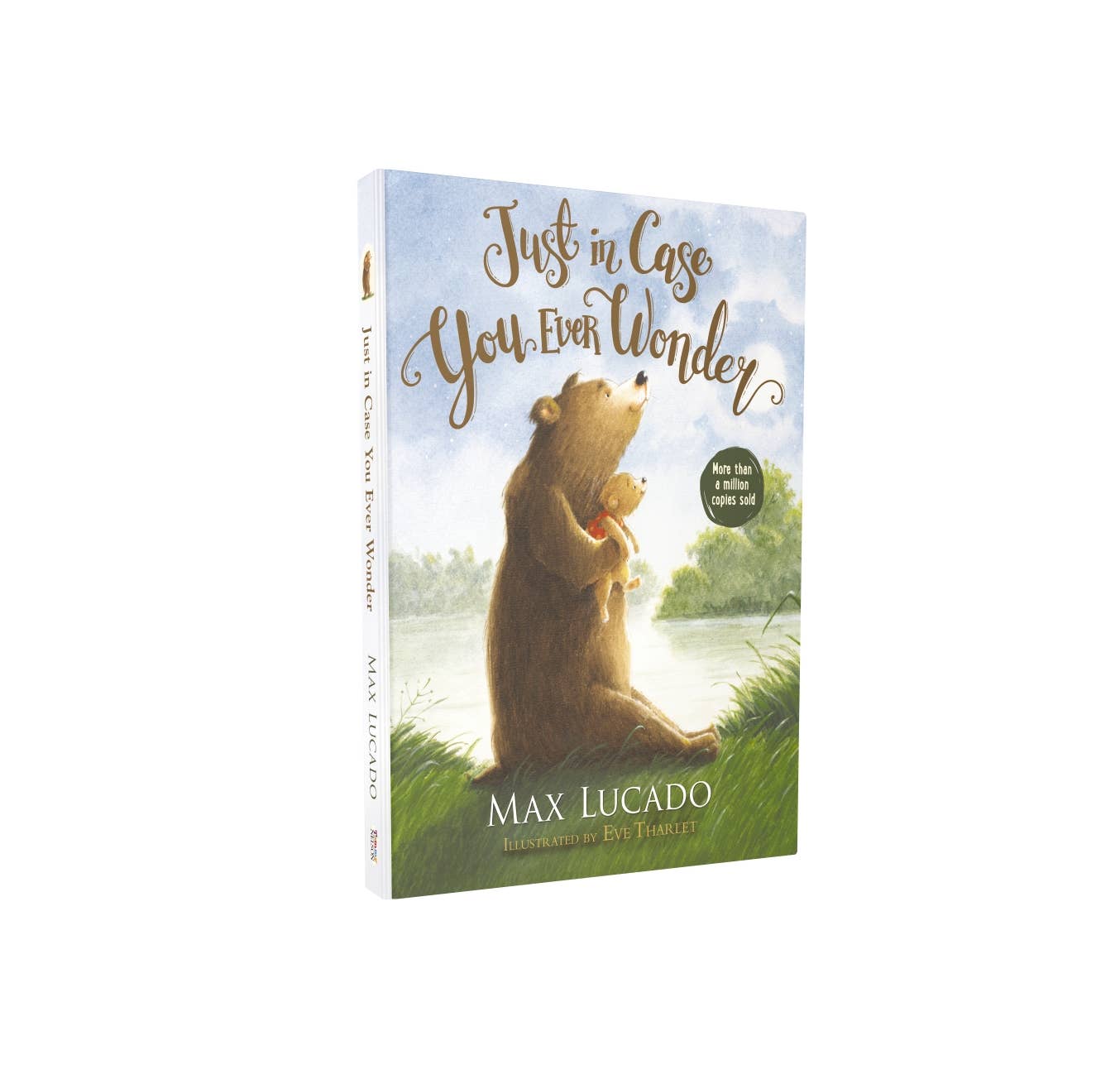 Book titled Just In Case You Ever Wonder