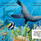 Tell Me About Oceans by Lisa Varchol Perron