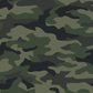 12-Point Repel Hat