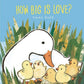 Book cover of 'How Big is Love?' by Emma Dodd featuring a goose and ducklings.