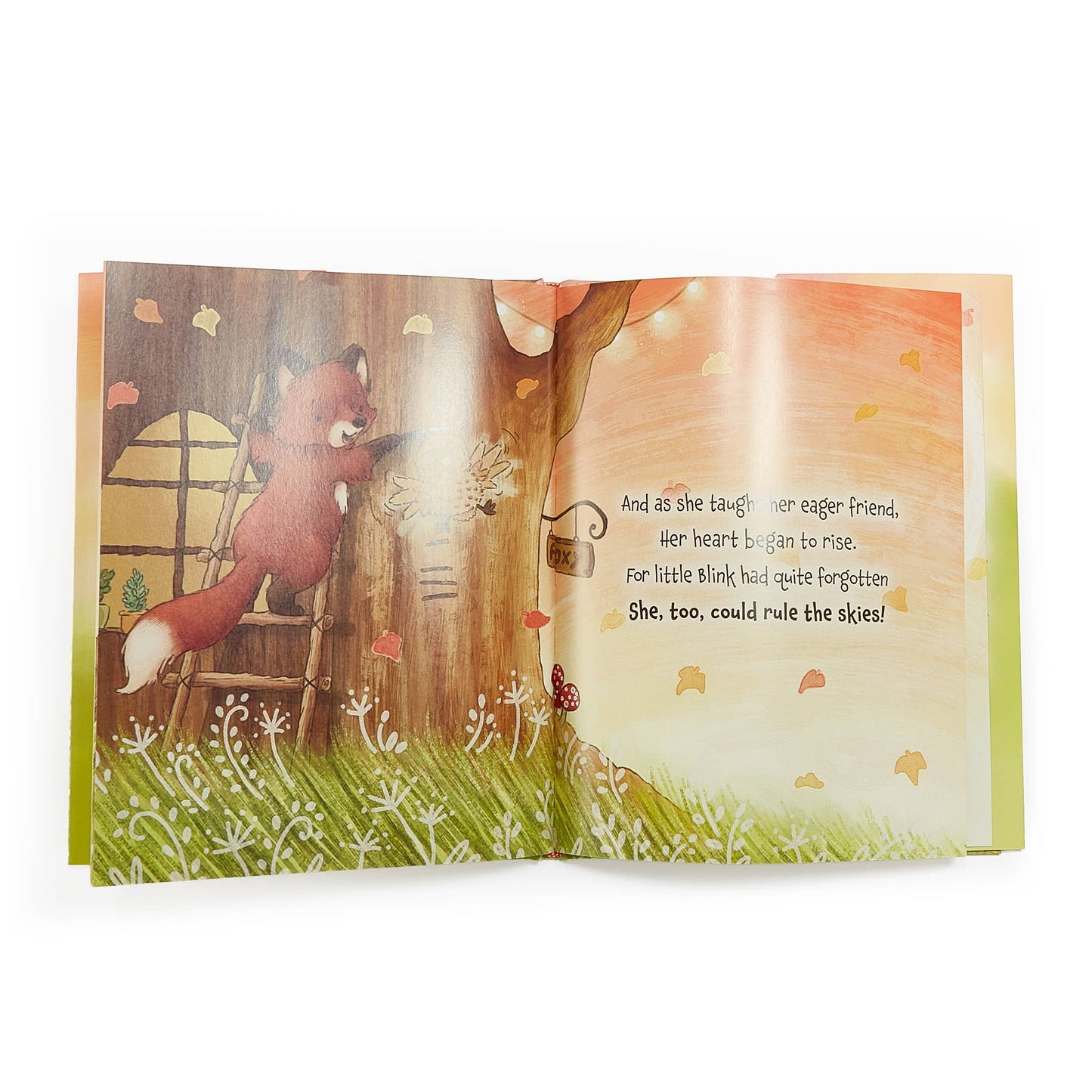 Foxy & Blink Flying Lesson Story Book