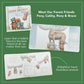 Camp Cricket Board Book