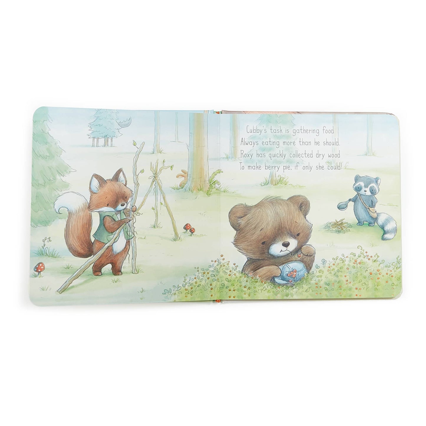 Camp Cricket Board Book