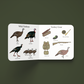 Turkey Season Children's Book