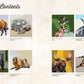 National Parks of N.America AMAZING ANIMALS Sticker Painting
