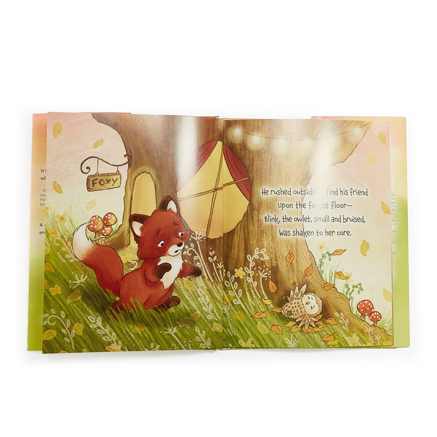 Foxy & Blink Flying Lesson Story Book