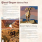 National Parks of N.America AMAZING ANIMALS Sticker Painting