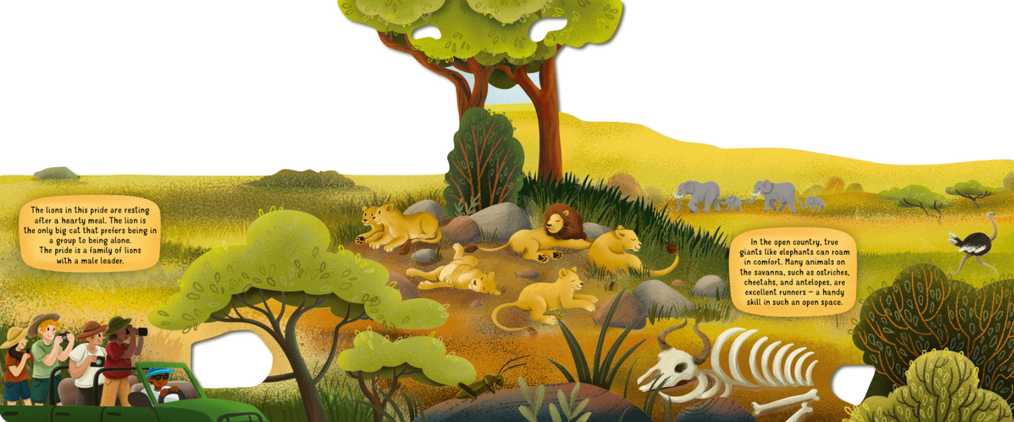 Exploring the Surprising World of the Savanna - Board Book