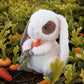 Herby Hare Bunny