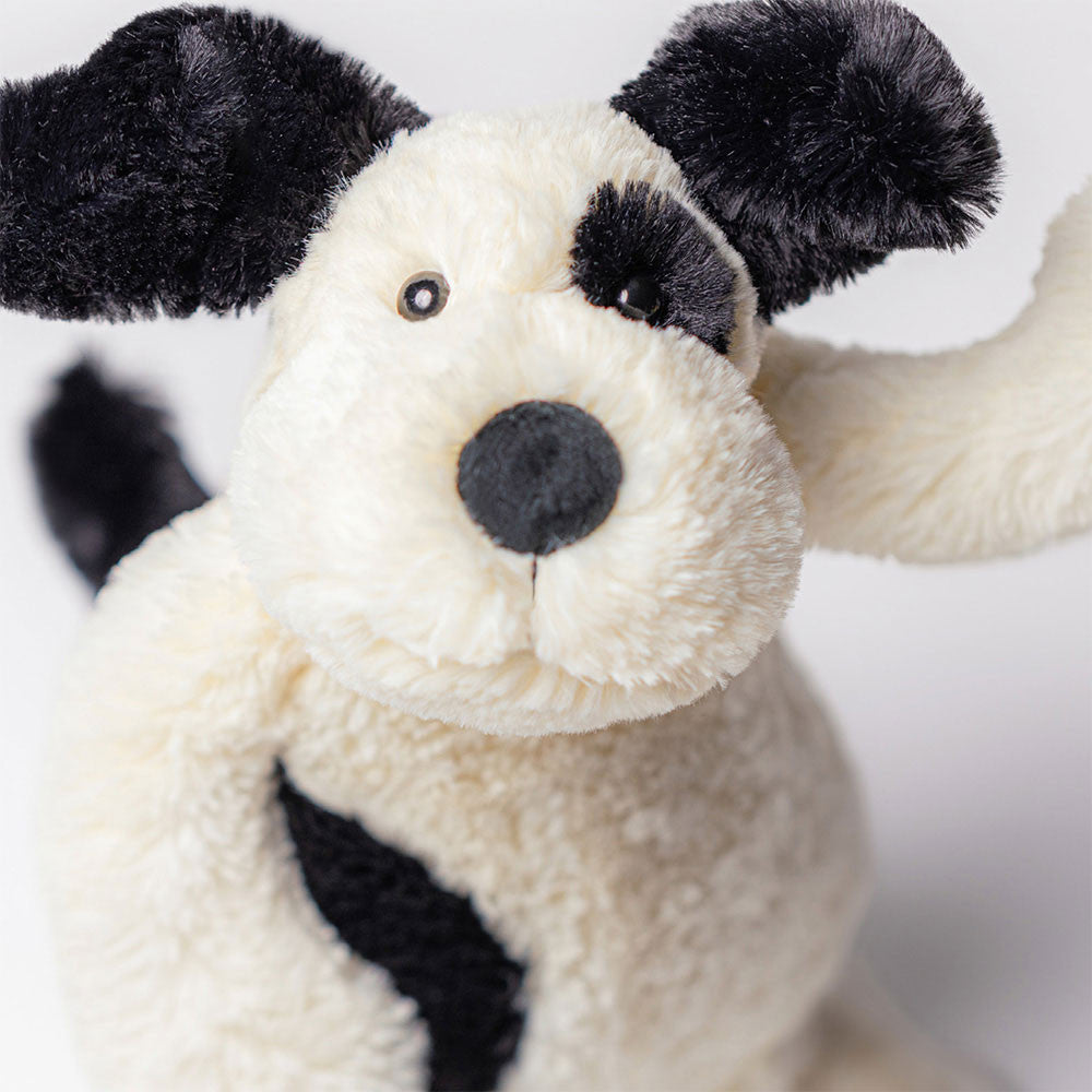 photo image of black and white plush dog