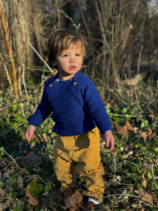 Morrison Baby Sweater // Royal