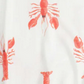 Swaddle Blanket - Skipper