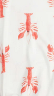 Swaddle Blanket - Skipper