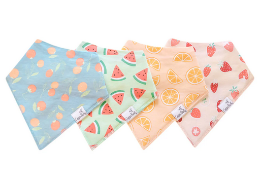 Bandana Bibs- Clementine