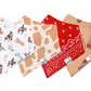 Boone Bandana Bib Set