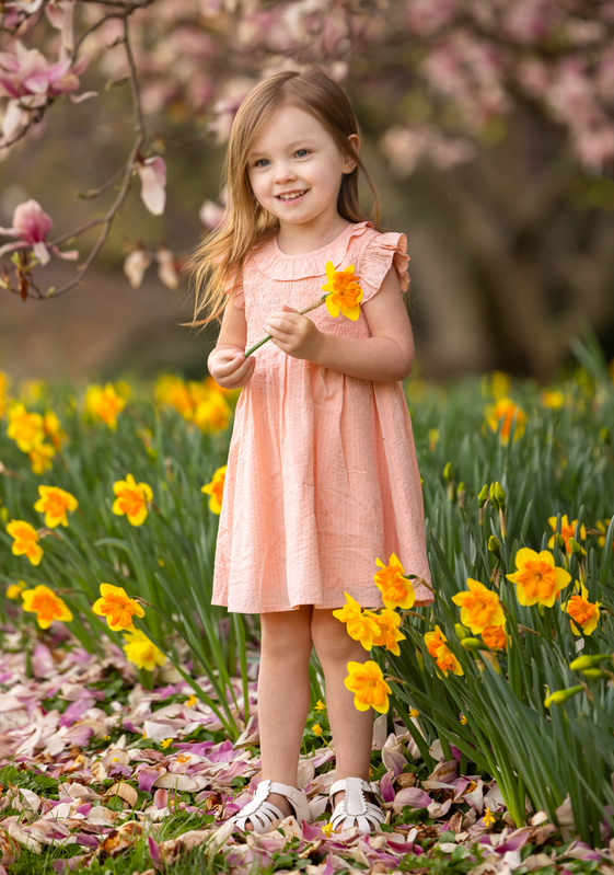 Jane Dress // Pink