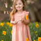 Jane Dress // Pink