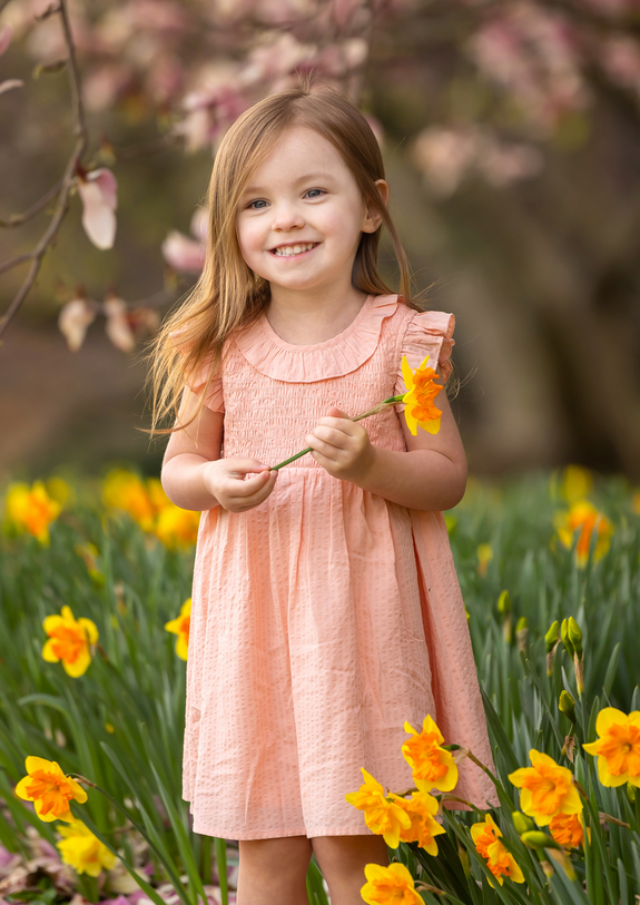 Jane Dress // Pink