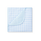Blue and white checkered blanket 