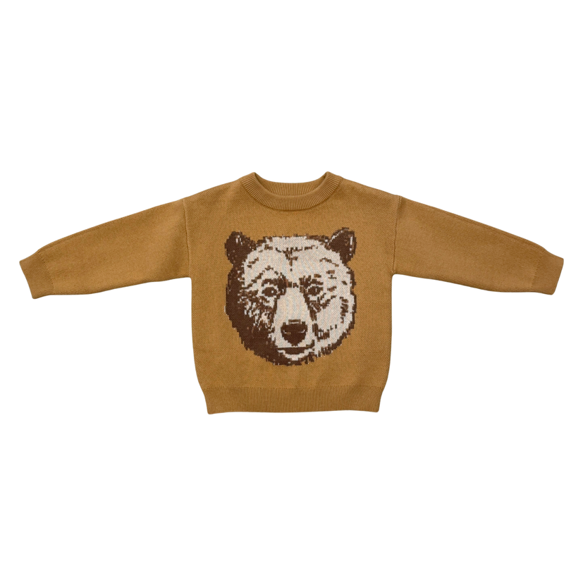 Brown sweater with bear design on a white background