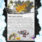 Tales of the Teenage Mutant Ninja Turtles