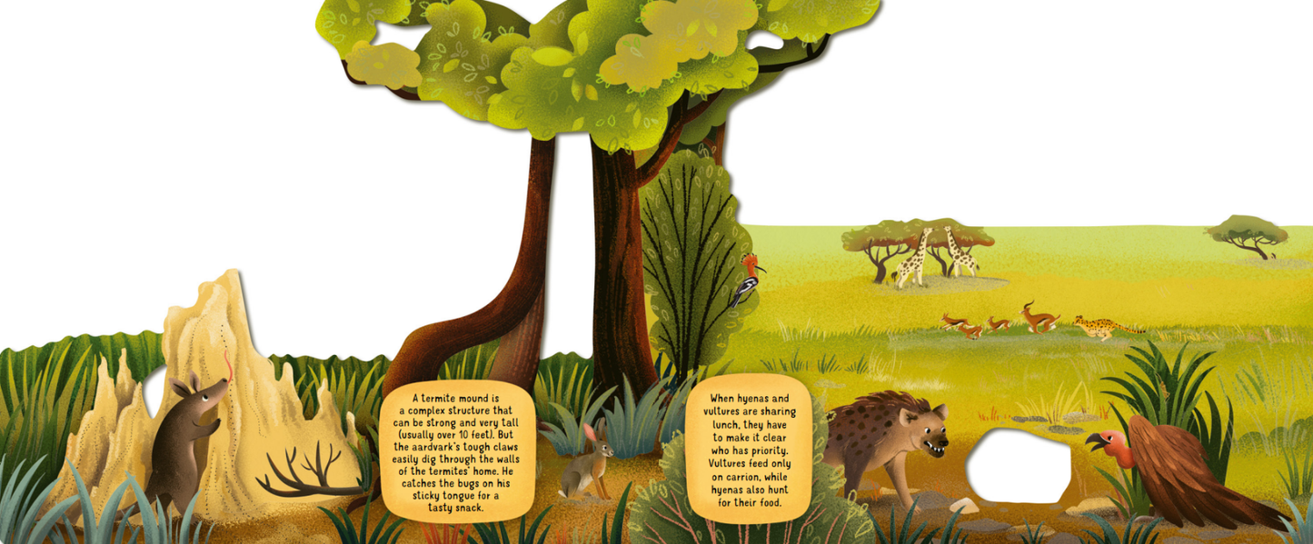 Exploring the Surprising World of the Savanna - Board Book