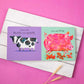 Cows Are Pink! by Becky Davies