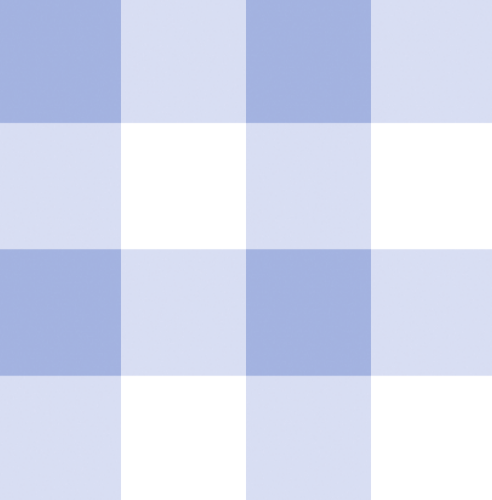 Boys Nap Mat - Blue Gingham