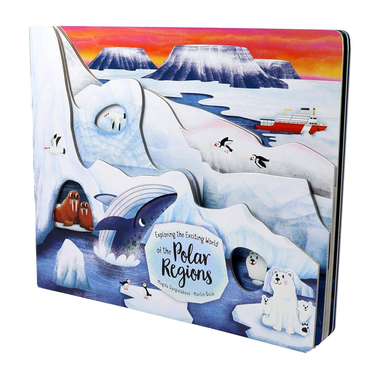 Exploring the Exciting World of the Polar Regions