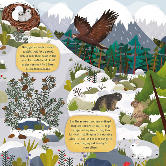 Discovering Nature on the Mountainside - Kid's Picture Book