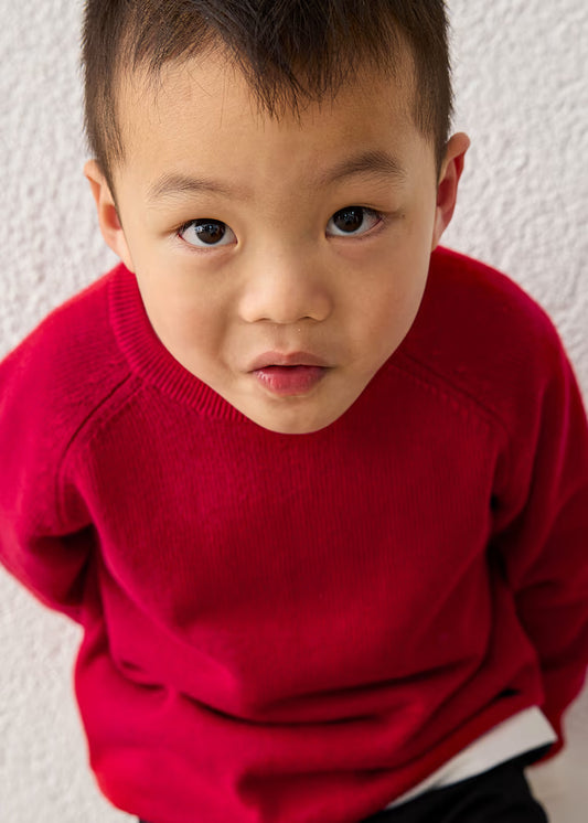 Red Sweater // 311-10